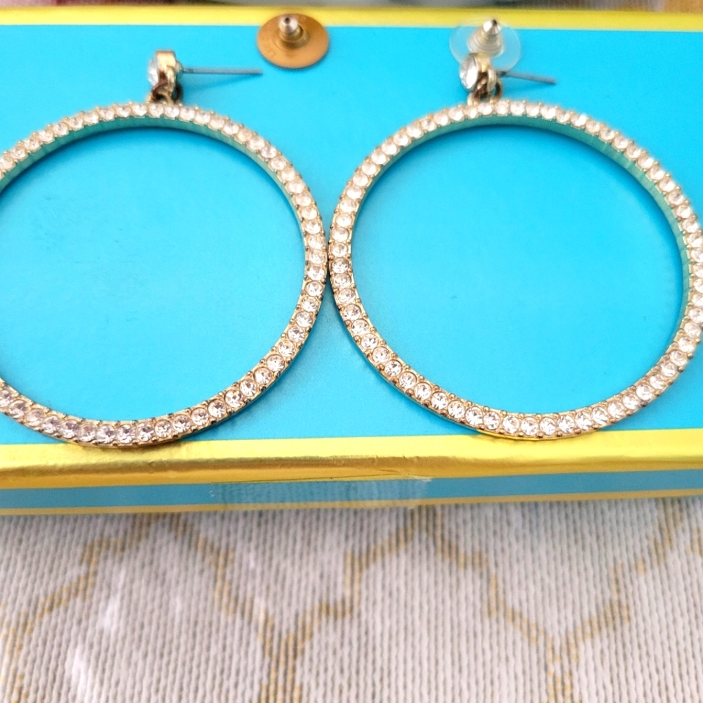 Loop Earring - image 1